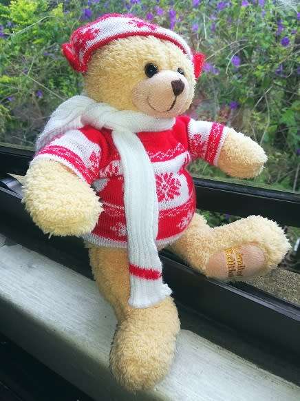 Freddy the Teddy, Limited Edition 2014.  32cm.  Awesome Price!