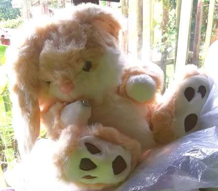 Rosie the Softest, Cutest Bunny Ever!  Large Plush Toy!