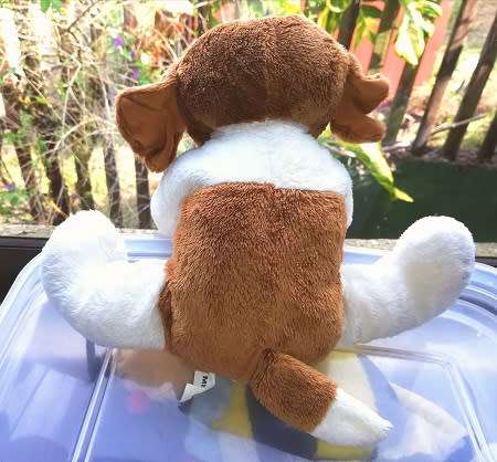 Ajax the Puppy dog!  Plush Soft Toy with big Peepers!