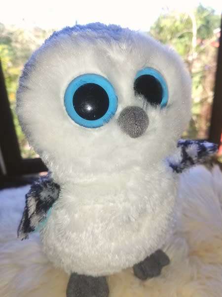 Ty Beanie Boos Spells the Owl - (Solid eye color).