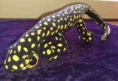 Nature Planet.  Bongoland S Gecko Ocellated Velvet.  Black and Yellow.  60cm.