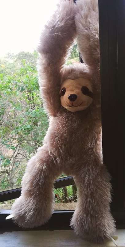 Sloth Business!  Crusty the Super Soft Sloth!  58cm.