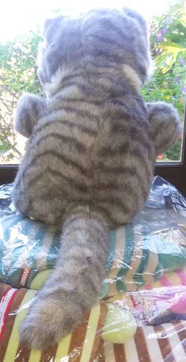 Cheeky George the Beautiful Plush, Large Cat.  36cm.  Cheap!