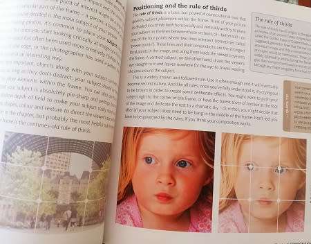 The Rough Guide to Digital Photography by Sophie Goldsworthy.  Great price!