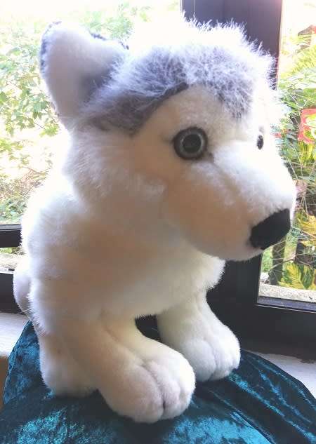 Sasha the Husky.  Beautiful!  Large, Leosco Collection. Plush Toy 35cm!
