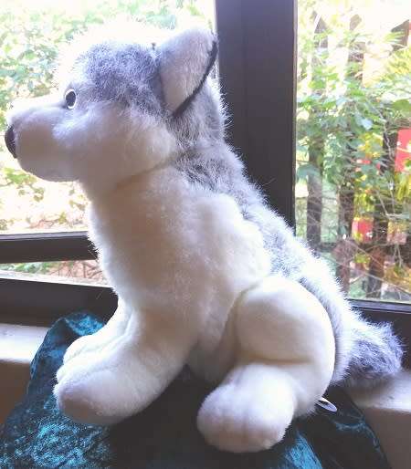 Sasha the Husky.  Beautiful!  Large, Leosco Collection. Plush Toy 35cm!