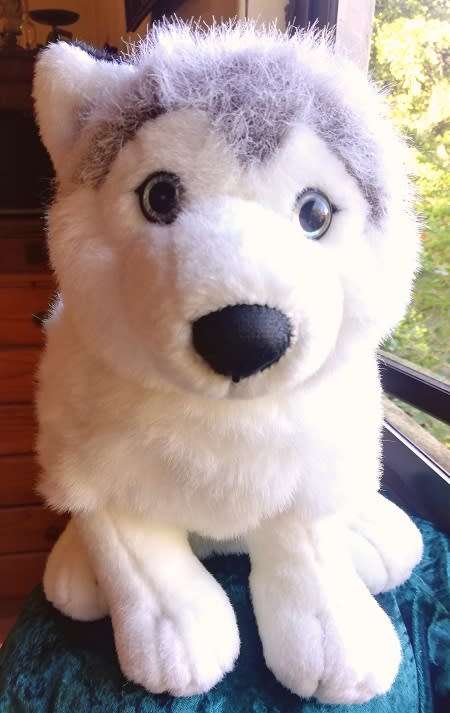 Sasha the Husky.  Beautiful!  Large, Leosco Collection. Plush Toy 35cm!