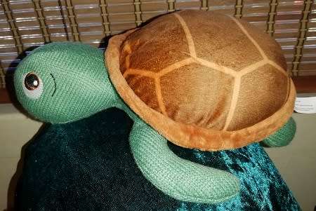 'Turtley Awesome' Supremia AG Soft Toy. Big eyed, super soft Turtle!