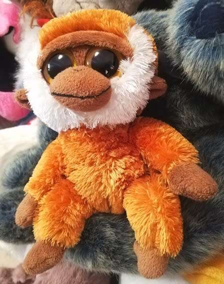 TY Beanie Boos - Bongo the Baby Gibbon Monkey!  18cm.