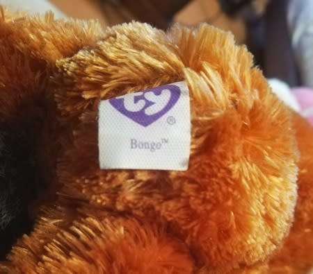 TY Beanie Boos - Bongo the Baby Gibbon Monkey!  18cm.