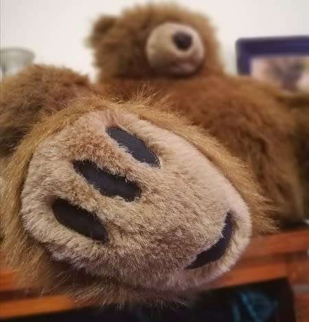 Grizz the Large Huggable Bear!!  50cm.  Great Price!!