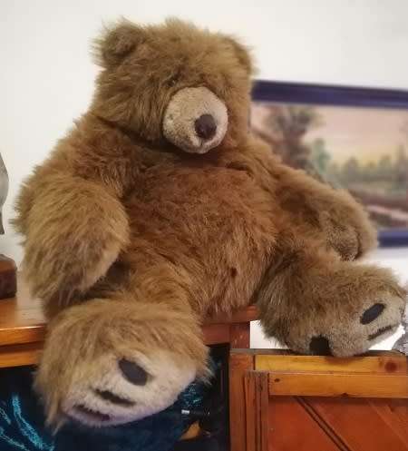 Grizz the Large Huggable Bear!!  50cm.  Great Price!!