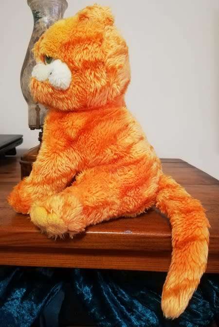 Garfield looking for trouble!  Plush soft toy! 28cm. Great Price!!