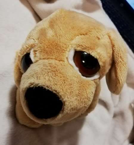 Li`l Peepers Jake the Labrador. Suki Soft Boa Plush Toy. 28cm Across.