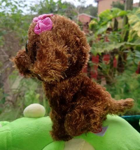 Ty Beanie Boos - Maddie the Doggie. 17cm.
