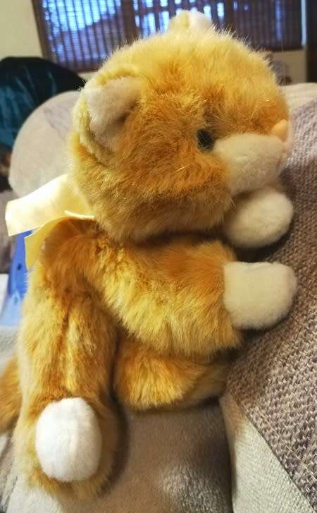 Floppy Biscuit the beautiful, super soft plush cat!