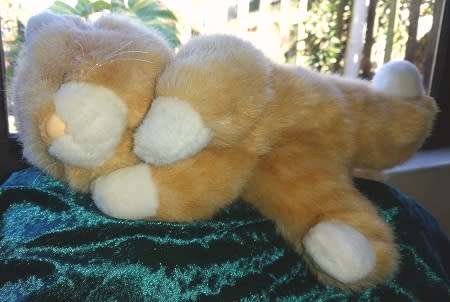 Floppy Biscuit the beautiful, super soft plush cat!