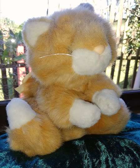 Floppy Biscuit the beautiful, super soft plush cat!