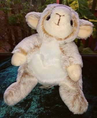 Lucky the little Lamb. A super soft plush Dani Design toy. 18cm.