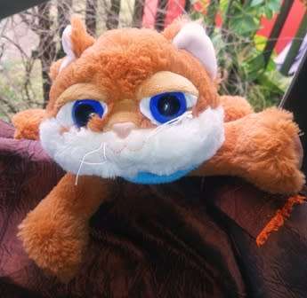 Piper the Big Eyed Kitty with a Blue Scarf.  An Althans Club Plush toy.