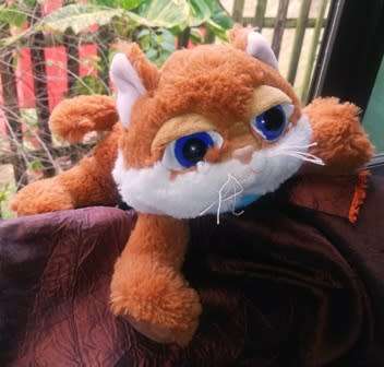 Piper the Big Eyed Kitty with a Blue Scarf.  An Althans Club Plush toy.