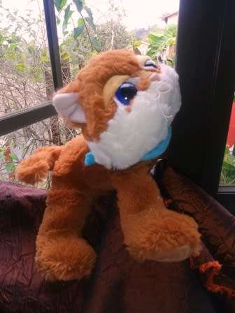 Piper the Big Eyed Kitty with a Blue Scarf.  An Althans Club Plush toy.