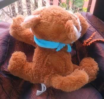 Piper the Big Eyed Kitty with a Blue Scarf.  An Althans Club Plush toy.