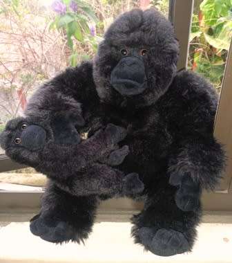 Beautiful Cuddly Gorilla Mom and Baby!  Uni-Toys Germany Plush Toy.  33cm.