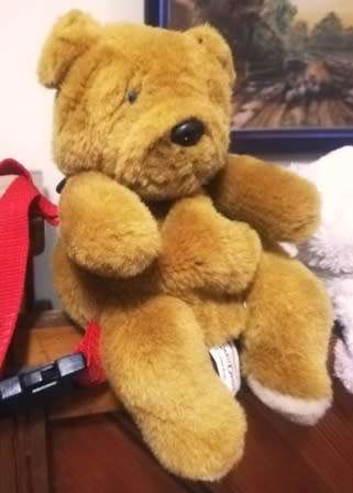 Toddler's Dusty the Doggie Backpack with red shoulder straps!  28cm.