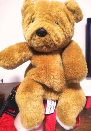 Toddler's Dusty the Doggie Backpack with red shoulder straps!  28cm.