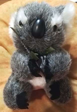 Australian Koala Bear with a Boomerang!  Super soft, plush toy.  18cm.