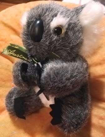 Australian Koala Bear with a Boomerang!  Super soft, plush toy.  18cm.
