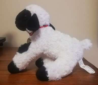 Molly the cutest little Sheep with a big Brass Bell from Switzerland!  25cm.