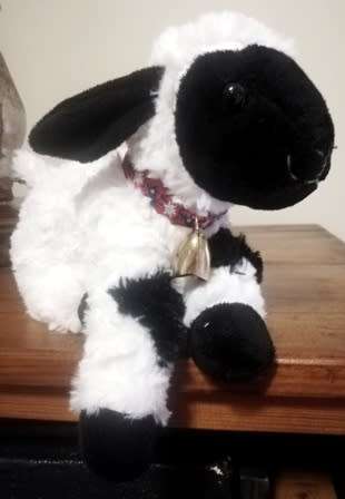 Molly the cutest little Sheep with a big Brass Bell from Switzerland!  25cm.