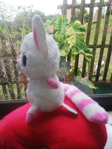 Yoohoo & Friends Pammee the 'Fennec Fox' Large Plush Toy. 22cm.