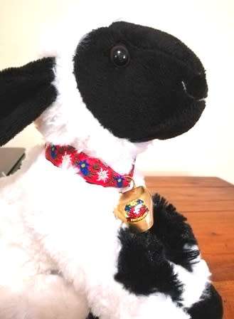 Molly the cutest little Sheep with a big Brass Bell from Switzerland!  25cm.