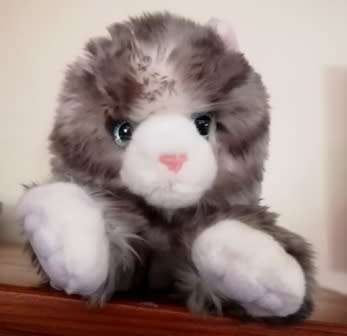 Tabby the Beautiful Plush, Aurora plush Bob tail Cat.