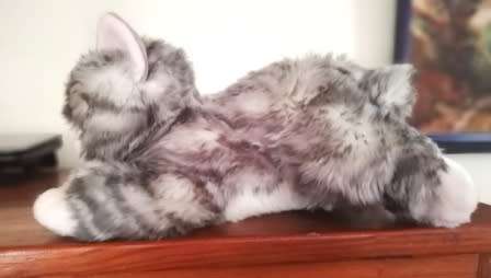 Tabby the Beautiful Plush, Aurora plush Bob tail Cat.