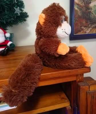 Coconut, the big, sparkley eyed monkey by Laurana Products.  Bargain!  35cm.