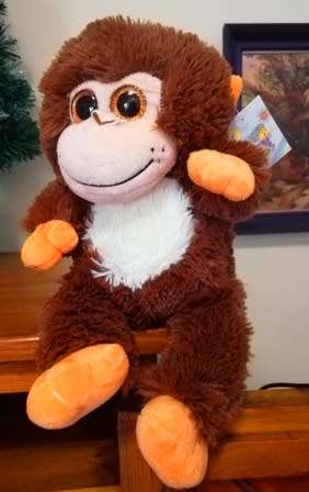 Coconut, the big, sparkley eyed monkey by Laurana Products.  Bargain!  35cm.