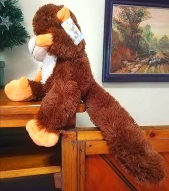 Coconut, the big, sparkley eyed monkey by Laurana Products.  Bargain!  35cm.