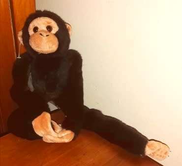 Bongo the Monkey.  Super plush Se-Mo soft toy.  40cm.
