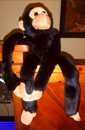 Bongo the Monkey.  Super plush Se-Mo soft toy.  40cm.