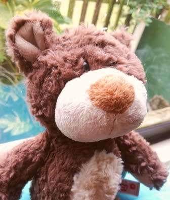 Honey the floppy, super soft Nicci Bear!  Beautiful!  28cm