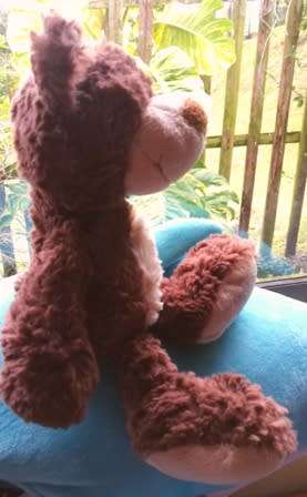 Honey the floppy, super soft Nicci Bear!  Beautiful!  28cm