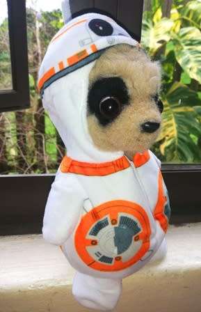 Compare the Market Oleg as BB8 - Star Wars Meerkat Toy - Limited Edition. 24cm.