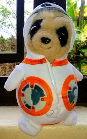 Compare the Market Oleg as BB8 - Star Wars Meerkat Toy - Limited Edition. 24cm.