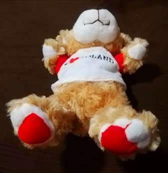 I Love Poland!  Cute little plush teddy bear!  25cm.