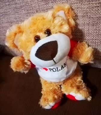 I Love Poland!  Cute little plush teddy bear!  25cm.