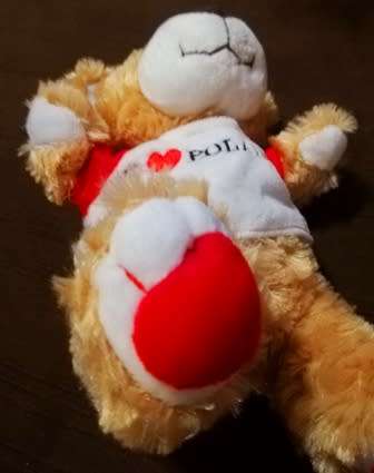 I Love Poland!  Cute little plush teddy bear!  25cm.